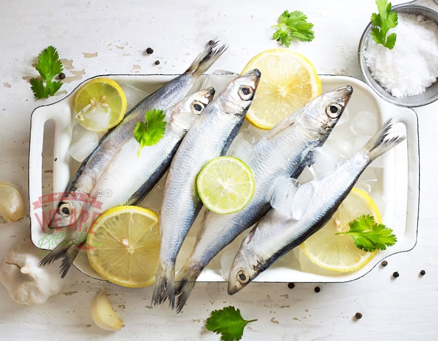 Online Store for Fresh Meat Fish SeaFood in Thrissur, Kerala